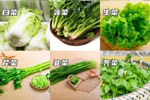 蔬菜类公司命名创意指南助你打造独特品牌形象 蔬菜类公司命名创意指南助你打造独特品牌形象