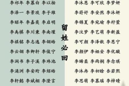 李姓宝宝起名指南：独特又寓意深远的命名推荐