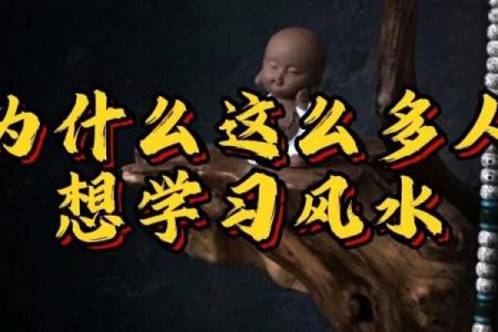 学习风水学：挑战与收获的平衡
