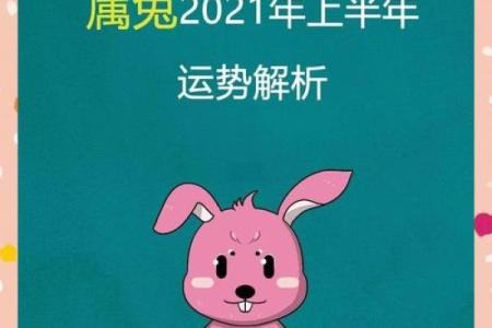 属兔人购房运势分析