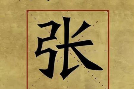 张姓文化与传统的影响力