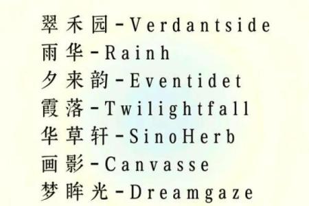 如何为信息技术公司起一个有吸引力的名字