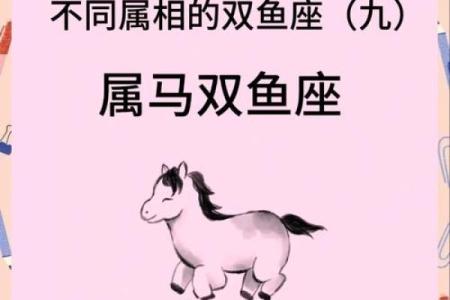 属马人感情运势与婚姻分析