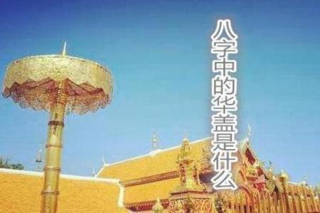 八字中华盖是什么？揭开这一神秘命理术语的真相