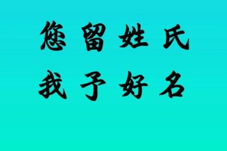 林姓男宝宝名字大全：传承文化与现代感并重的选择