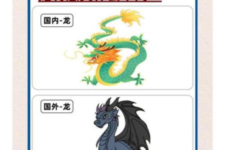 探寻世界各地的龙名：背后的神话与文化传承