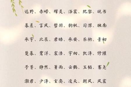 为什么选择什么君作为名字的寓意深刻