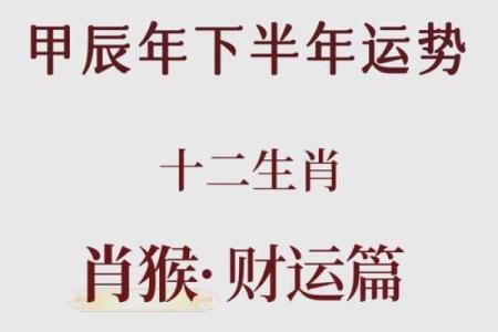 属猴办公桌风水布局建议与禁忌分析