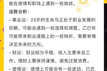 属马人财运预测与理财建议