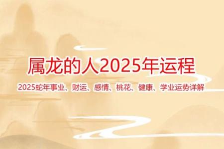 属龙人在的感情运势详解