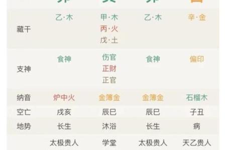 壬辰八字的深层解读与命运解析