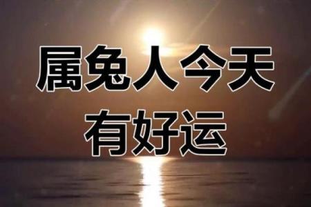 属兔人今日的运程波动，你该如何应对