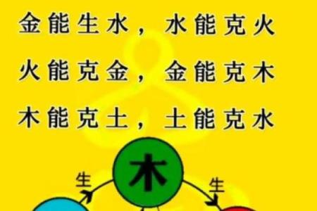颐字五行属性解析，揭开其深层含义与命理影响