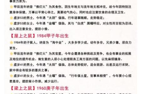 农历鼠的性格与命运，揭秘你的未来