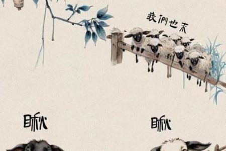 属羊人在遇到的挑战与机遇