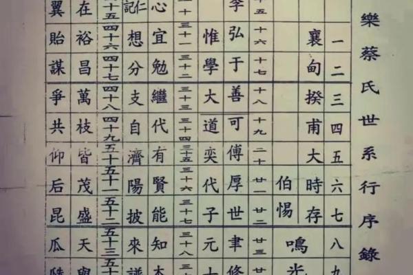 蔡华宝宝起名字技巧与建议分享
