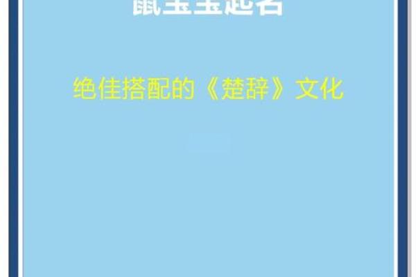 如何为出生的鼠宝宝挑选一个好名字 如何为出生的鼠宝宝挑选一个好名字