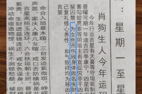 影响狗年出生宝宝运势的关键因素揭秘