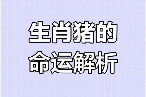 猪生肖运程解析：如何应对事业与财运挑战