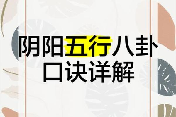 阴阳五行八卦风水入门指南,助你提升生活质量 阴阳五行八卦风水入门指南,助你提升生活质量