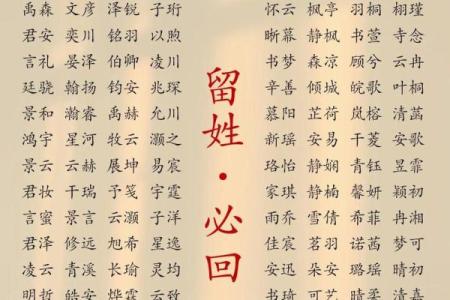 免费提供的宝宝取名大全