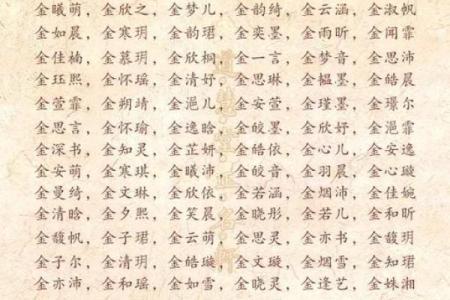 免费的女宝宝名字大全，助你找到完美选择