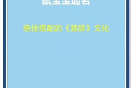 如何为出生的鼠宝宝挑选一个好名字