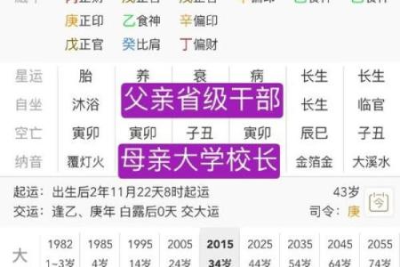 掌握生辰八字，预测人生大起大落