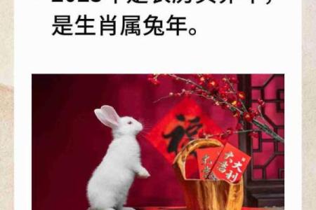 属相与免每月运程：如何抓住机遇