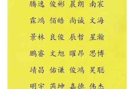 为男孩选择简单又独特的名字