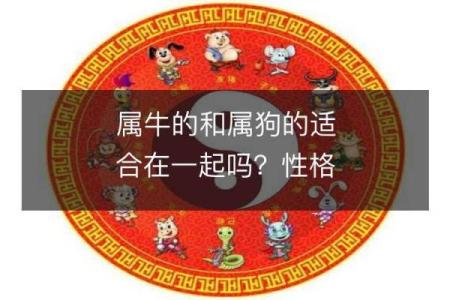 影响狗年出生宝宝运势的关键因素揭秘