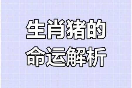 猪生肖运程解析：如何应对事业与财运挑战