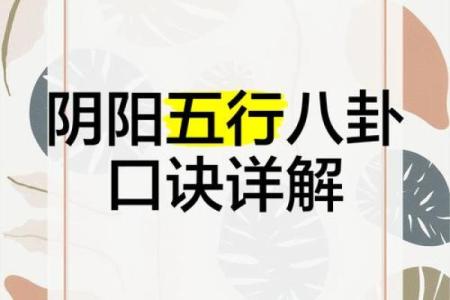 阴阳五行八卦风水入门指南，助你提升生活质量
