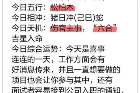 鼠七月运程大揭秘：健康、爱情与财运全盘点