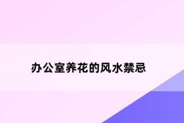 中山办公室风水名师评选指南 中山办公室风水名师评选指南
