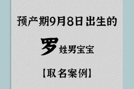 罗姓男宝宝起名宝典：独特又有意义的名字推荐
