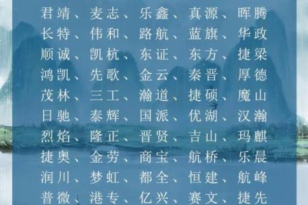 源字在公司命名中的独特魅力与寓意解析