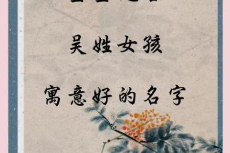 为吴姓女宝宝选个有意义的名字