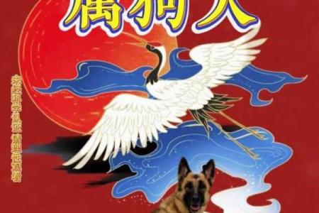 属狗人的爱情运势与婚姻建议