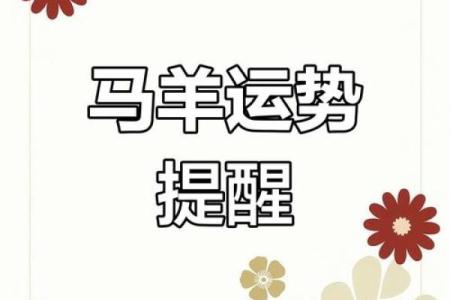 历，马生肖如何平衡工作与家庭