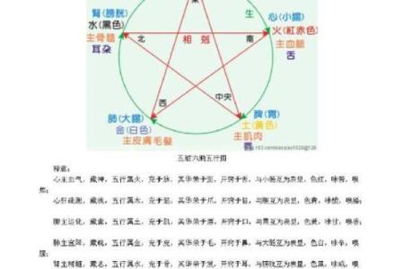 五行排盘解析：如何通过命理了解你的命运走势