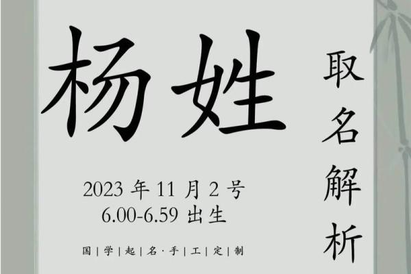 杨姓宝宝起名推荐与技巧解析