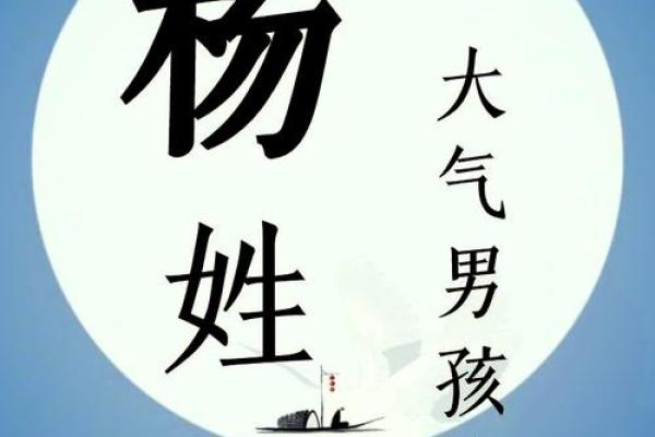 杨姓宝宝起名推荐与技巧解析