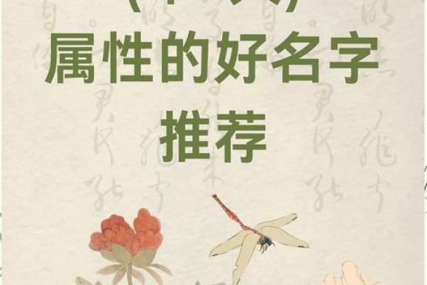 五行木火男孩名字精选，助力未来运势与成长