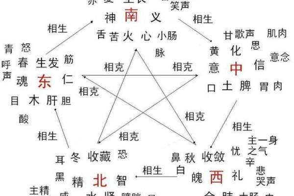 探秘数字五行属性与个人命运的关系