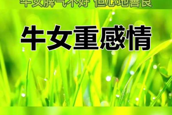 属牛人感情运势如何