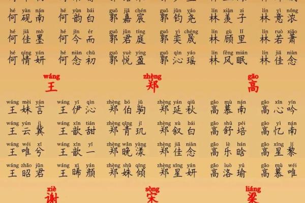 付姓鸡年宝宝起名指南：精选名字与风水分析