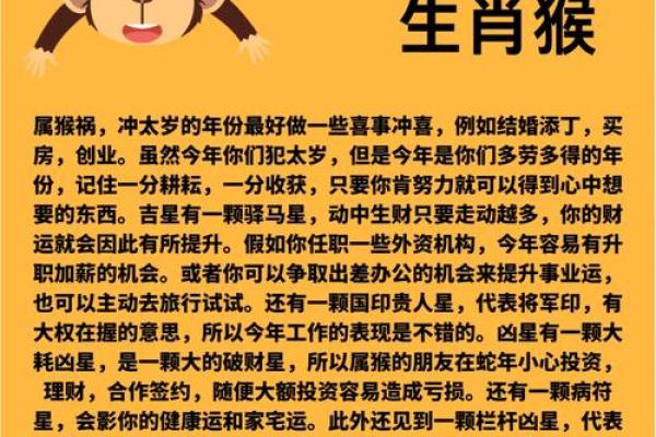 属猴人的运势解析：财运、事业与感情大揭秘