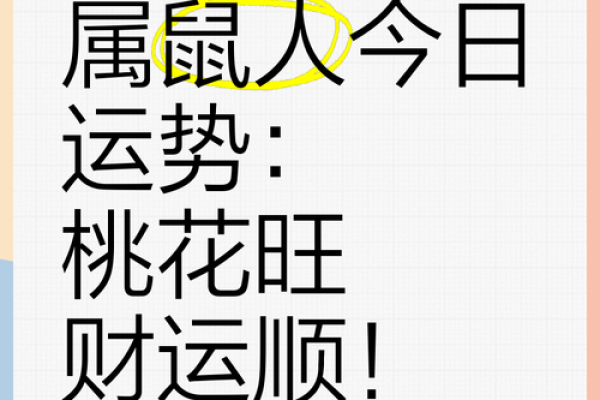 属鼠人运势走向及注意事项