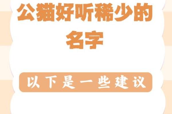 让你的猫咪与众不同的好听名字 让你的猫咪与众不同的好听名字